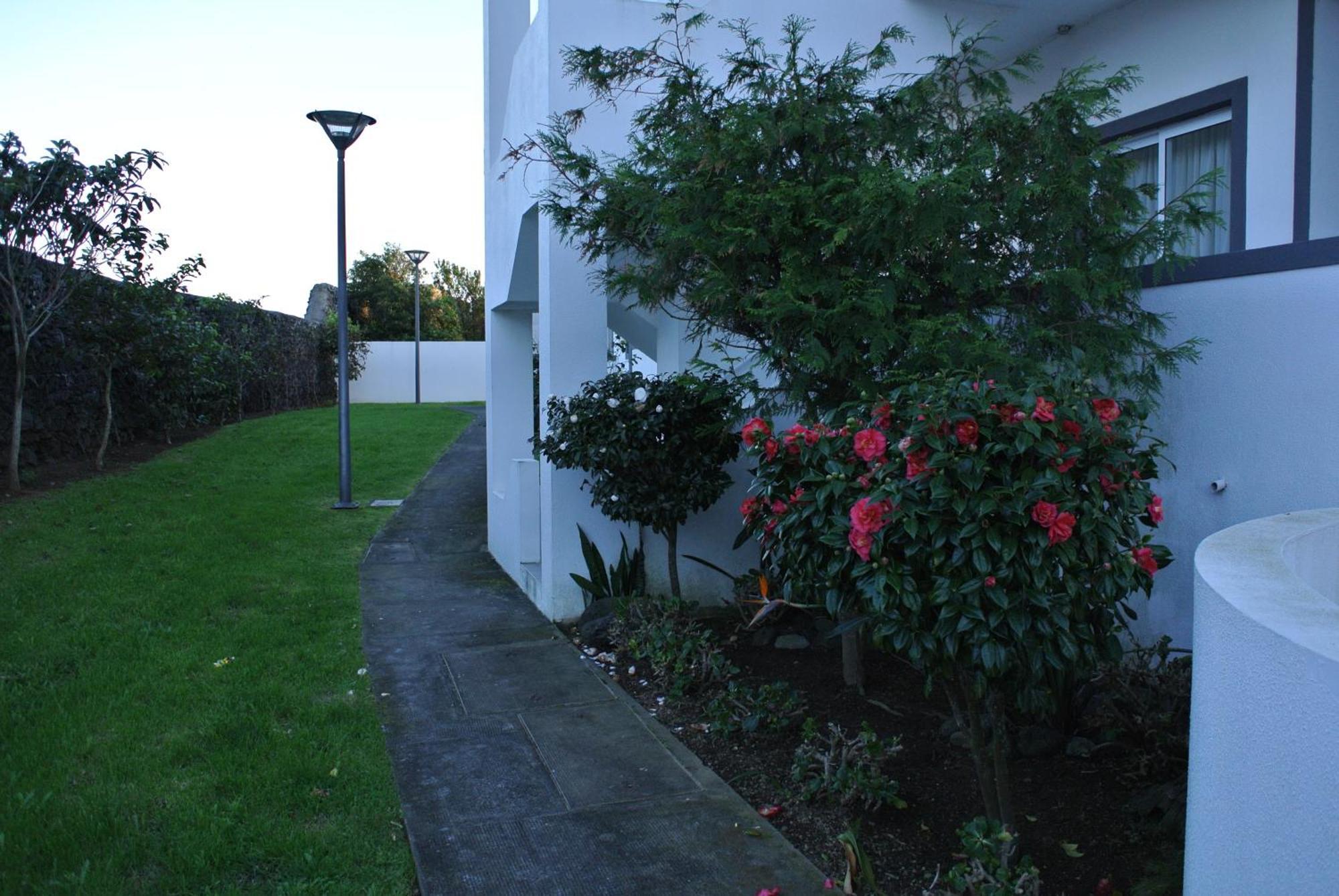 Casa Simba , Where The Fun Begins Ponta Delgada Eksteriør bilde